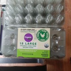 Egg Cartons 