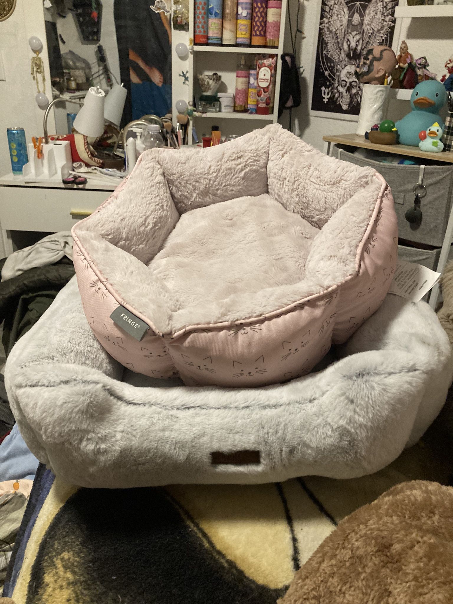 2 cat/small dog beds