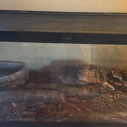 Reptile Tank 
