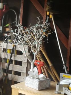 White tree