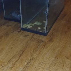 Reptile Tank. One Tank Left