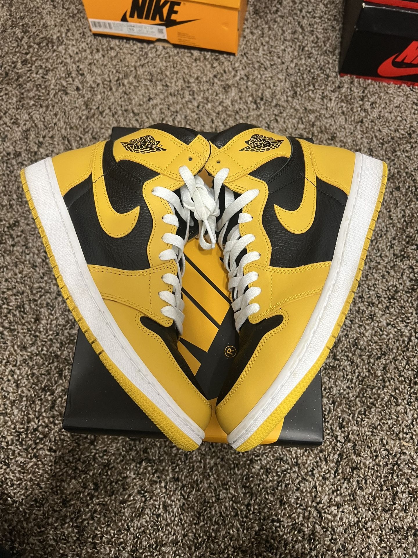 Jordan 1 Pollen