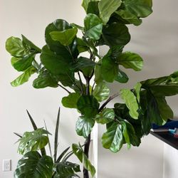 Faux Greenery