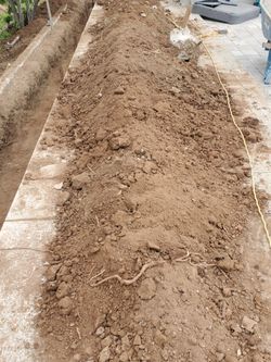 Free Clean Dirt