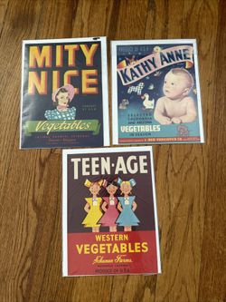 Lot Of 3 Vintage Teen-Age Western Vegetable Paper Kathy Anne Mity Nice