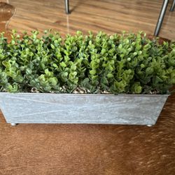 Faux Desk/Table Plant