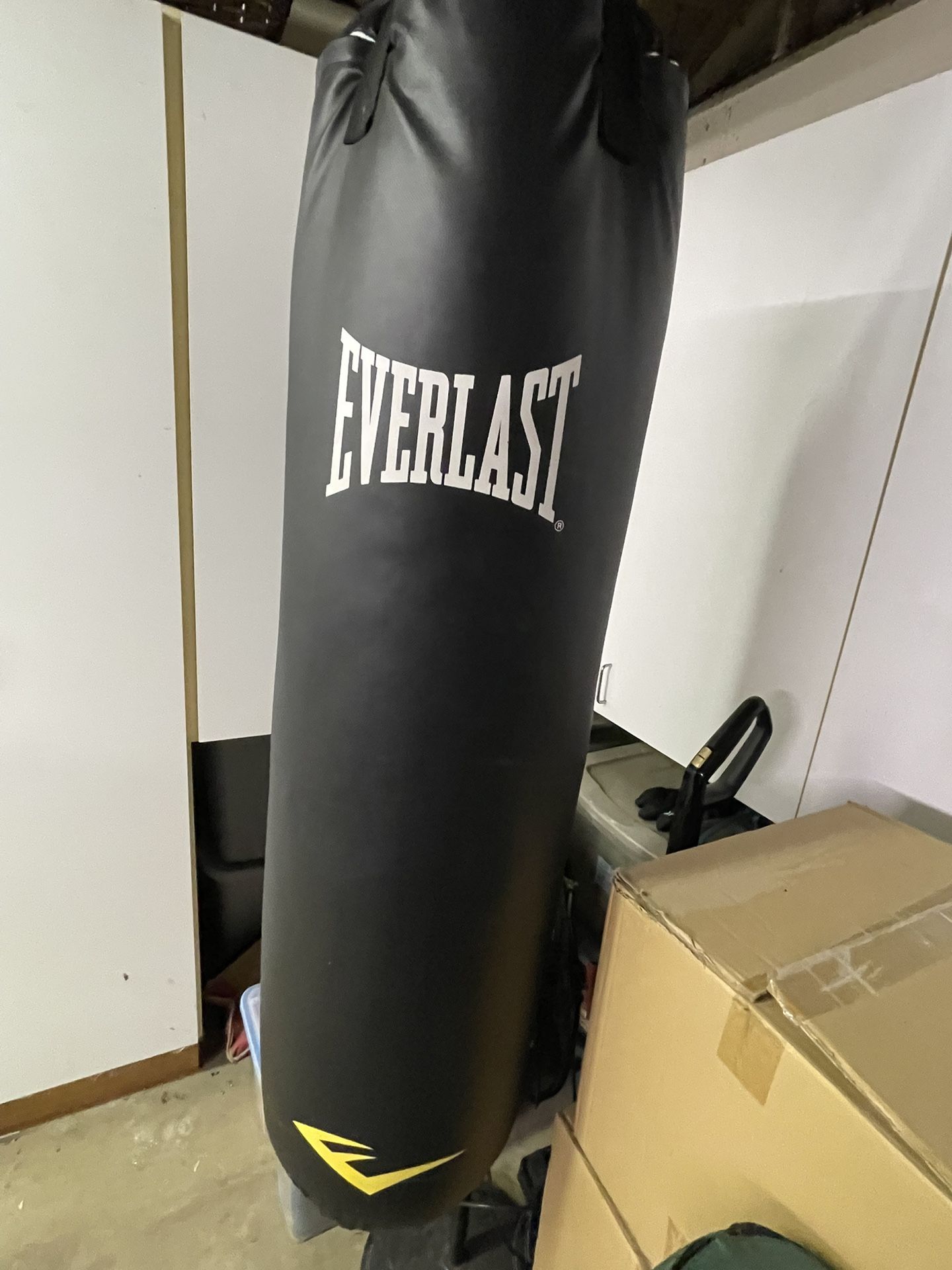 Everlast Hanging Punching Bag