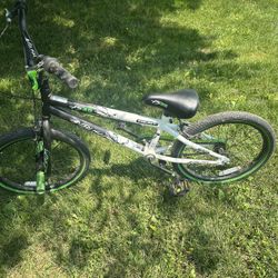 20 Inch Boys Bike 