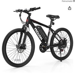 electric bicycle