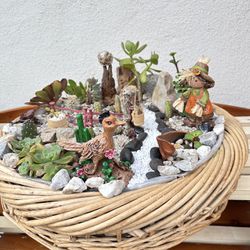 Succulent Arrangement With Live Plants And Cactus 