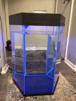 20 gal hexagon fish aquarium