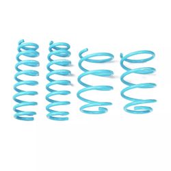 God Speed Lower Springs