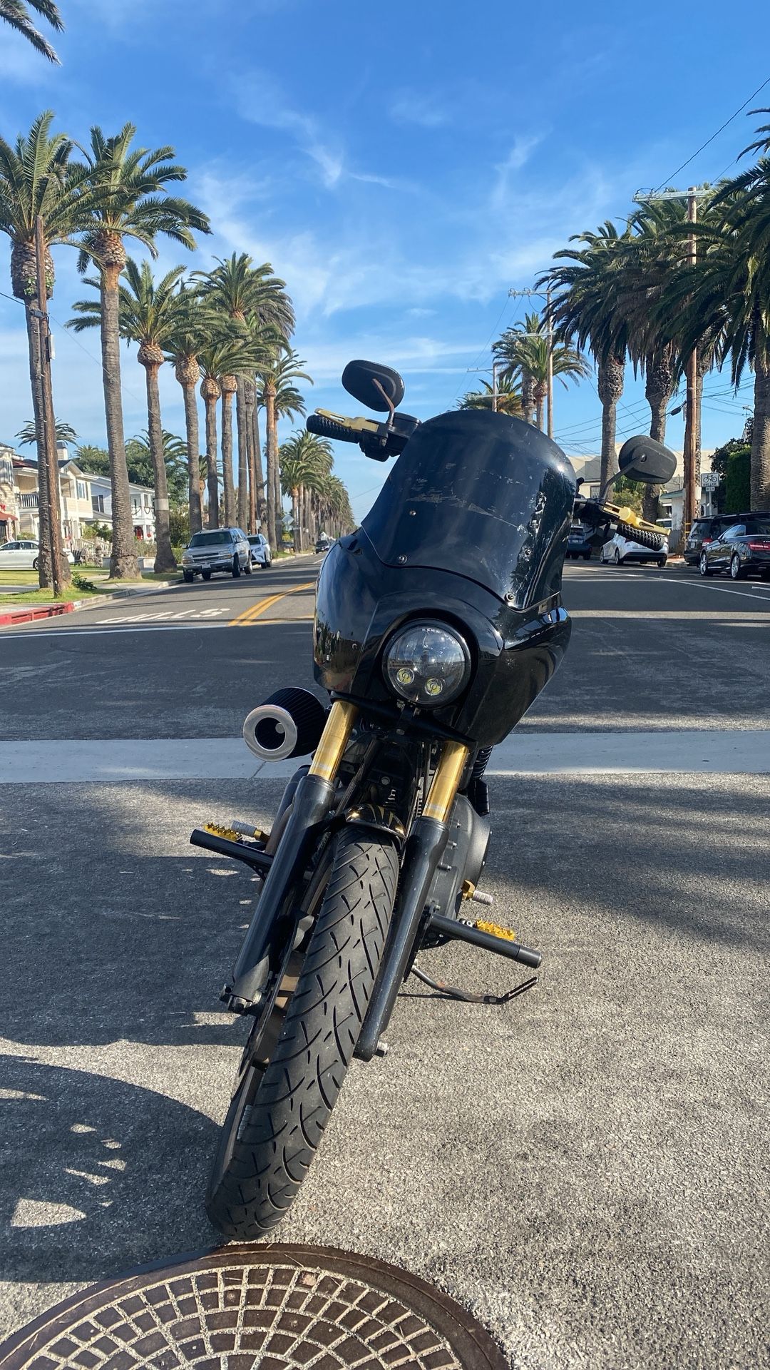 2017 Harley Davidson Lowrider S