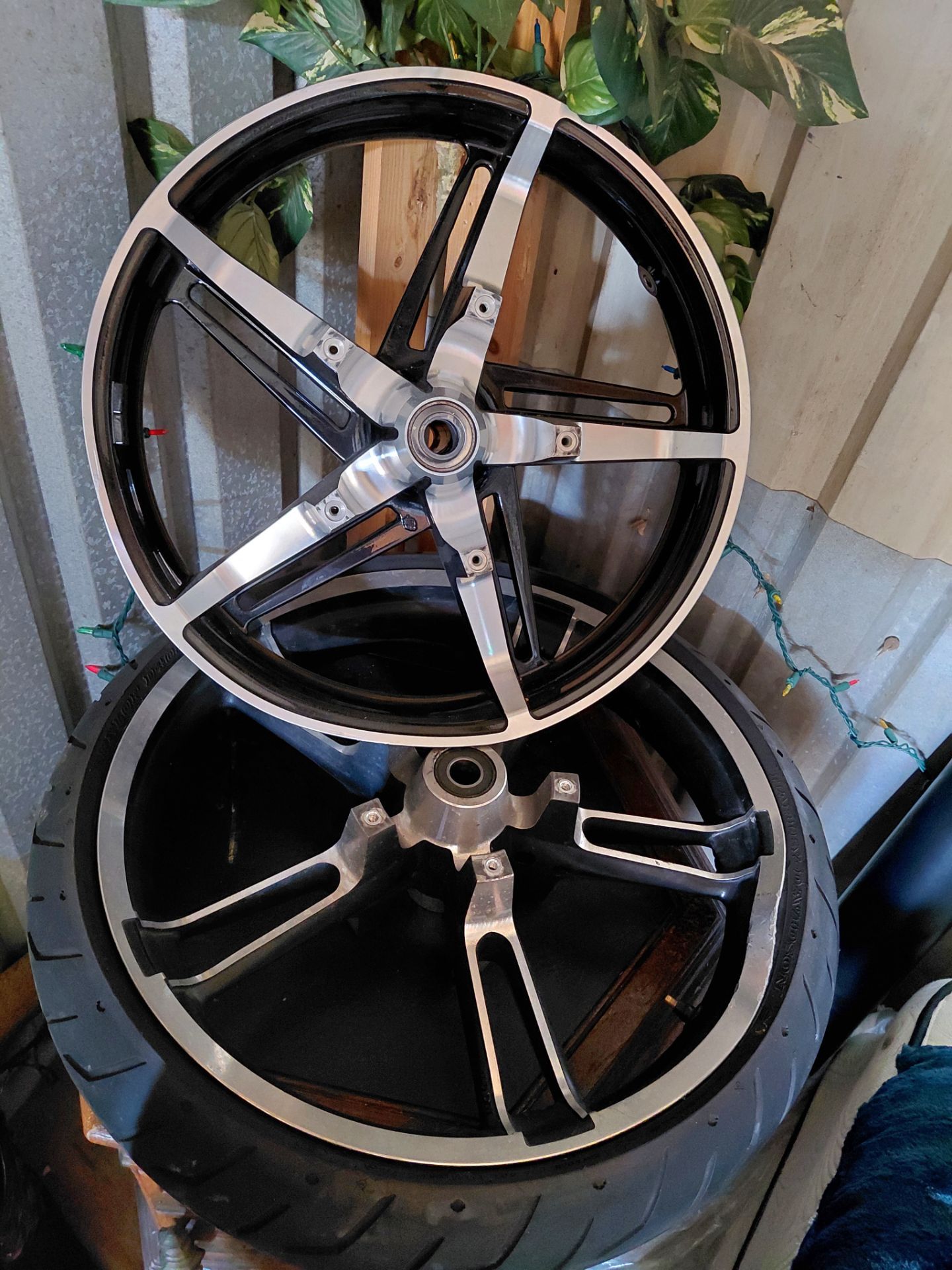 Harley rims