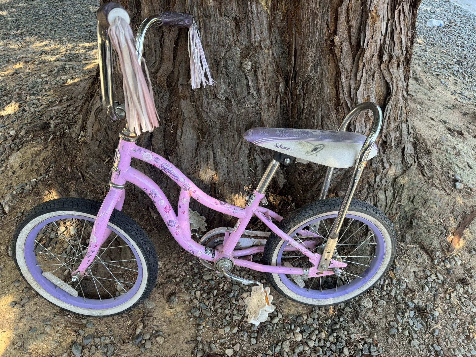 small Kids Bike Used Collectible Schwinn