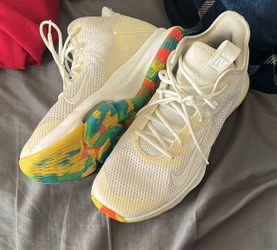 Nike Labron James witness 4