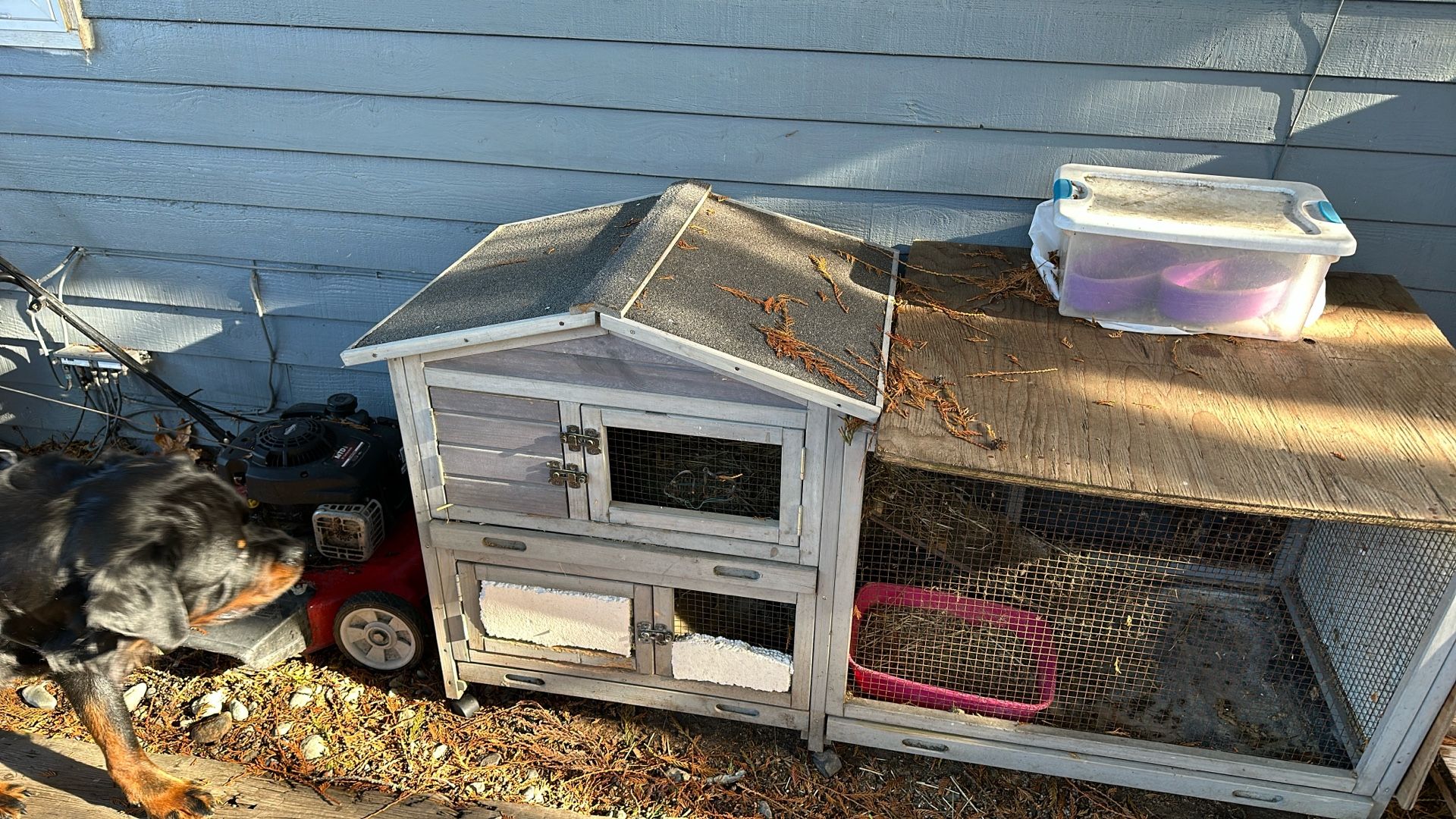 Bunny hutch still in good shape
