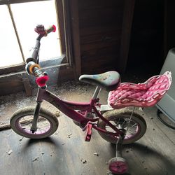 Little Girls Bicycle 
