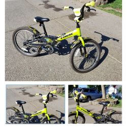 Trek Jet 20 Kids Bike