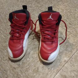 Air jordans 12