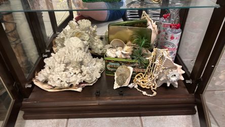 Very large, beautiful coral and shells
