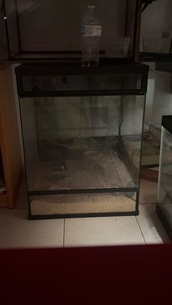 Reptile tank