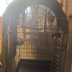 Big Bird Cage