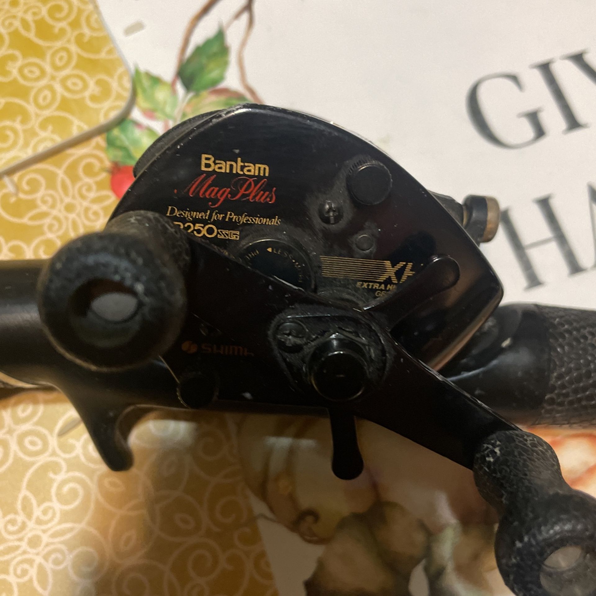 Beat Casting, Fishing Reel