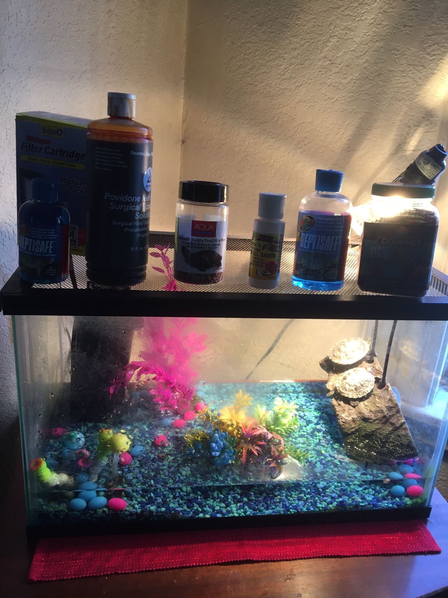 Two Red Earded Slider Turtles + Tank & Necessities