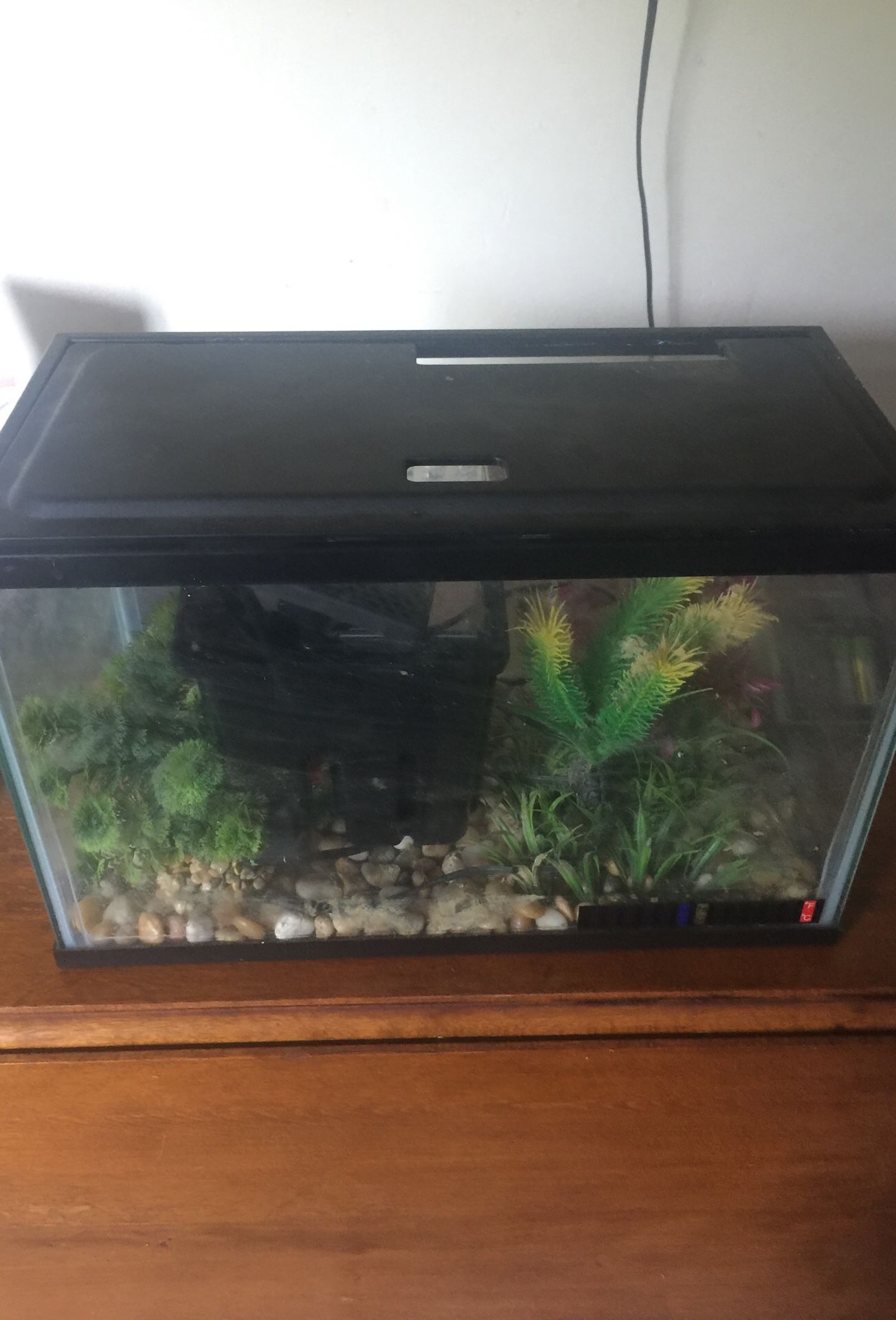 5 gallon Fish tank used with accessories filter and heaters