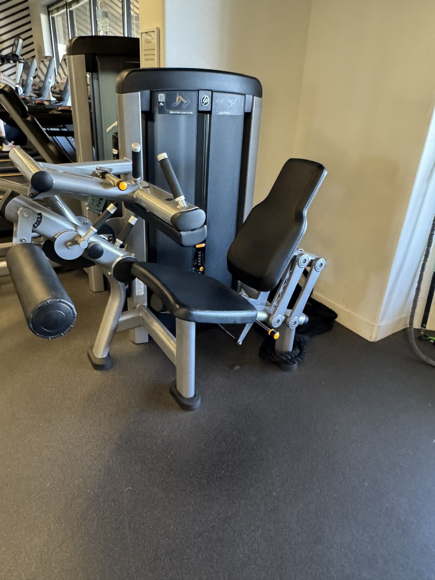 Seated Leg Curl Machine (Life Fitness)