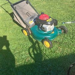 Yard MAN Push Lawnmower 
