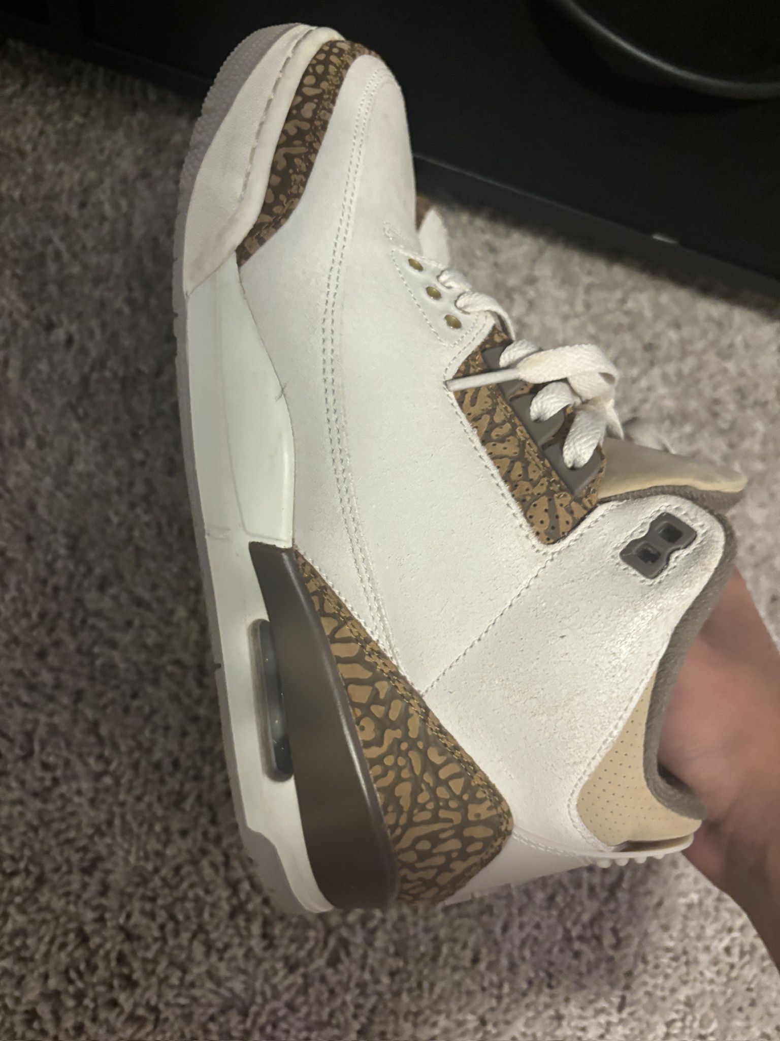 Jordan 3s