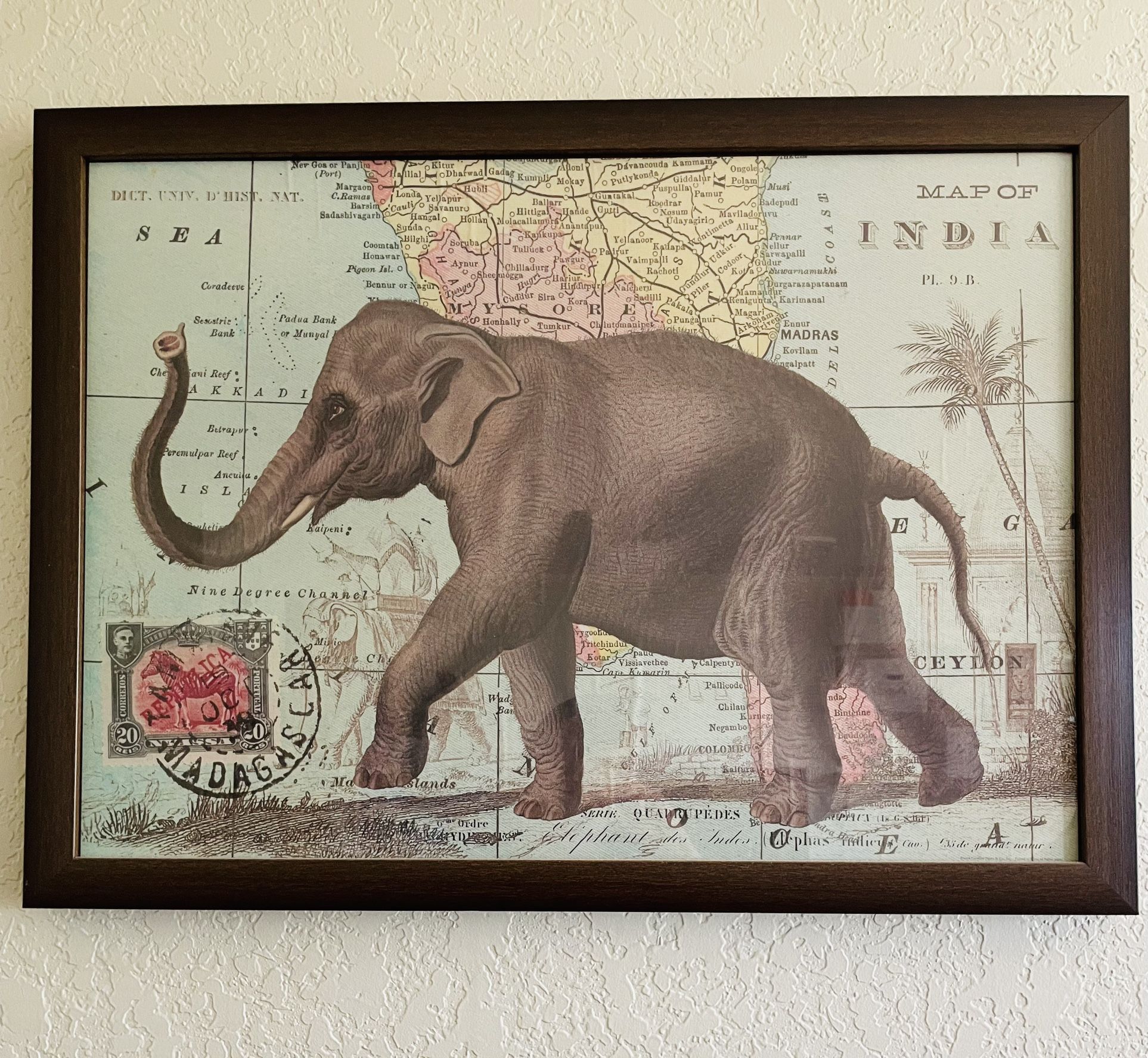 FRAMED CAVALLINI & CO. Elephant On Map Vintage Image Poster 22 1/2” X 30”