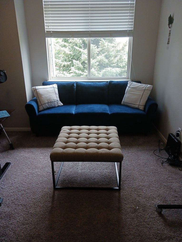 Blue Velvet Couch