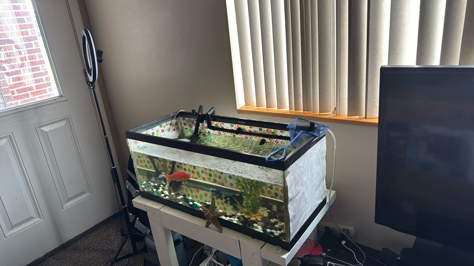 Fish Tank