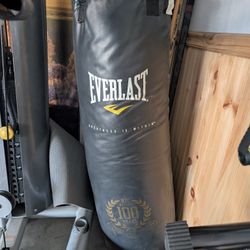 Everlast Heavy Bag With Ceiling Spring Mount 