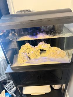 Salt Acuarium 20gal kit