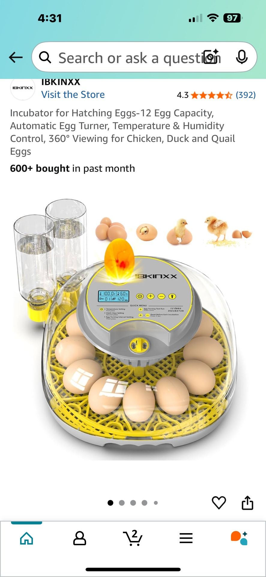 incubator bran new