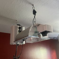 Gavita pro 1000E grow lights 