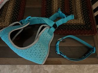 Top Paw Baby Blue XL Dog Harness and Blue with Circles Large Dog Collar