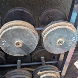 55lb Dumbbells 