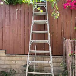 10 Foot Ladder 