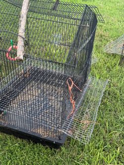 Quails cage