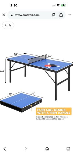 GarveeLife Portable Ping Pong Table, Indoor and Outdoor Ping Pong Table for Adults/Teens, Table Tennis Table with 2 Table Tennis Paddles and 3 Balls, 