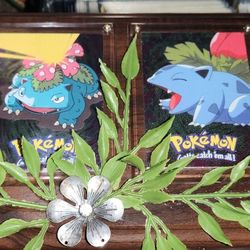 Pokémon 