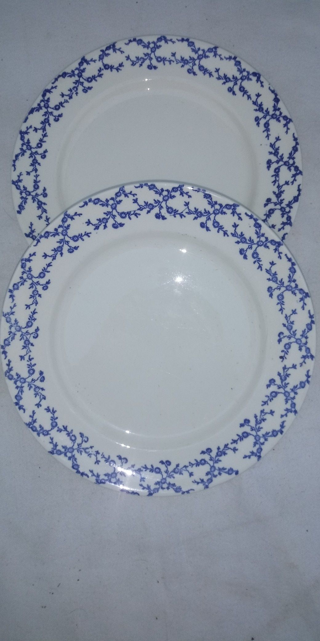 White w/blue flowered dinner plates