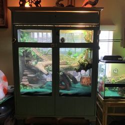 Reptile Enclosure s One Of A Kind 