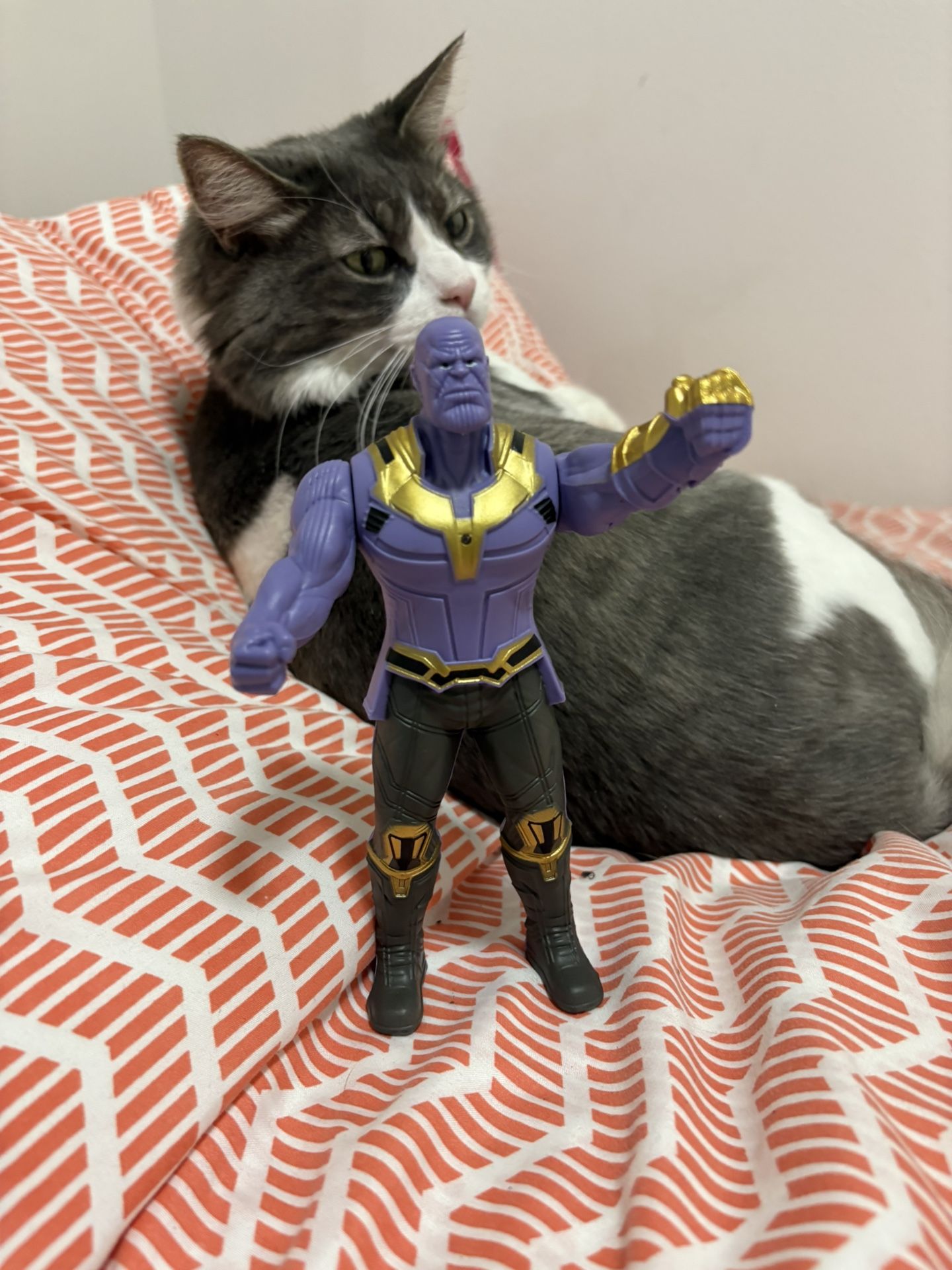 Thanos Action Figure