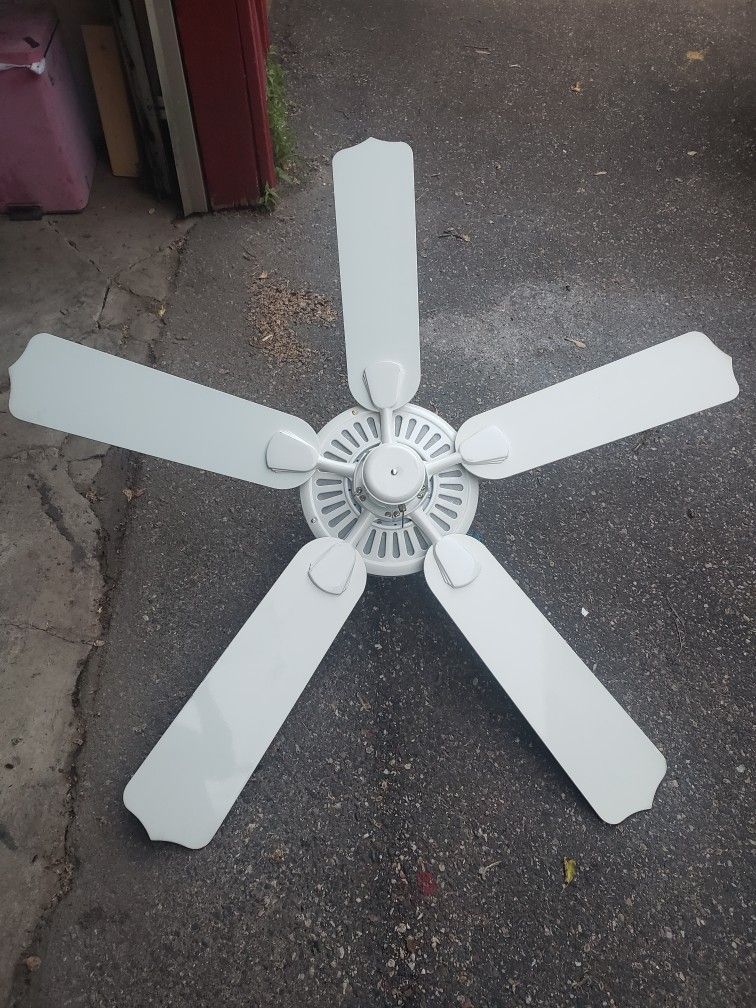 Fan and Lights